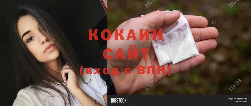 COCAIN Fish Scale  Весьегонск 