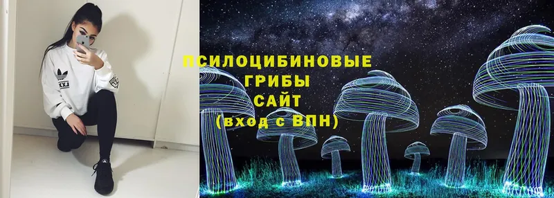 Галлюциногенные грибы MAGIC MUSHROOMS  Весьегонск 